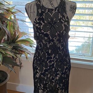 Express Black and White Floral Lace Midi Dress